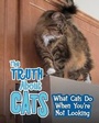 Cover: The Truth about Cats - Raintree