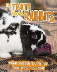Enlarge image Cover: The Truth about Rabbits - Raintree