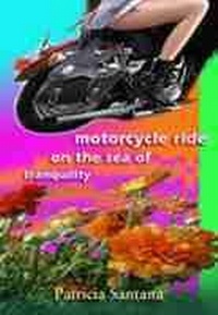 Enlarge image Cover: Motorcycle Ride on the Sea of Tranquility - University of New Mexico Press