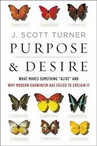 Abbildung von: Purpose & Desire - HarperOne