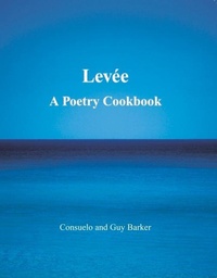 Enlarge image Cover: Levee - Nomad Publishing