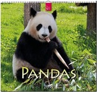Abbildung von: PANDAS - Stürtz