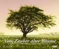 Cover: Vom Zauber alter B&auml;ume 2018 - Wandkalender 58,4 x 48,5 cm - Spiralbindung - DuMont Kalenderverlag