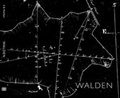 Cover: S. B. Walker - Kehrer Verlag