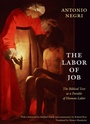 Cover: The Labor of Job - Duke University Press