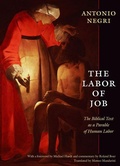 Cover: The Labor of Job - Duke University Press