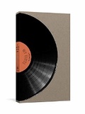 Cover: A Record of My Vinyl - Clarkson Potter