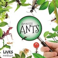 Cover: Amazing Ants - BookLife Publishing