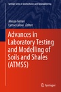 Cover: Advances in Laboratory Testing and Modelling of Soils and Shales (ATMSS) - Springer