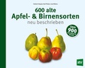 Cover: 600 alte Apfel- & Birnensorten neu beschrieben - Stocker, L