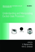 Cover: Understanding and Manipulating Excited-State Processes - CRC Press