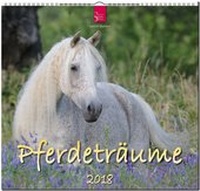 Abbildung von: PFERDETRÄUME - Stürtz