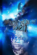 Cover: Shattered but Not Broken - Vantage Point Media