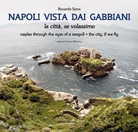 Abbildung von: Napoli vista dai gabbiani. La città se volassimo - Edizioni Intra Moenia