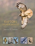 Cover: Raptors of New Mexico - University of New Mexico Press