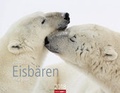Cover: Eisb&auml;ren - Kalender 2018 - Weingarten