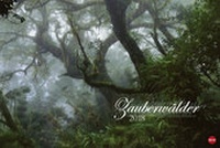 Bild vergrößern Bild: Zauberwälder - Kalender 2018 - Heye