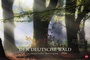 Bild: Der deutsche Wald - Ein literarischer Spaziergang Edition - Kalender 2018 - Heye