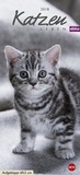 Bild: Whiskas Katzenleben - Kalender 2018 - Heye