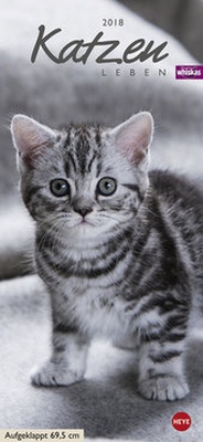 Bild vergrößern Bild: Whiskas Katzenleben - Kalender 2018 - Heye