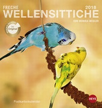 Bild vergrößern Bild: Freche Wellensittiche Postkartenkalender - Kalender 2018 - Heye
