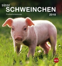 Abbildung von: Schweinchen Postkartenkalender - Kalender 2018 - Heye