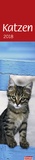 Bild: times&more Katzen long - Kalender 2018 - Heye