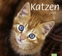 Bild: times&more Katzen Bildkalender - Kalender 2018 - Heye