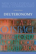 Cover: Deuteronomy - Liturgical Press
