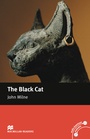 Cover: The Black Cat - Hueber Verlag