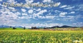 Cover: Wolkenlandschaften 2018 - Neumann Verlage GmbH & Co. KG