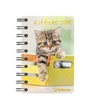 Cover: Kittens 2018 - Neumann Verlage GmbH & Co. KG