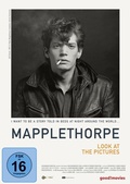 Cover: Mapplethorpe - Look at the Pictures - Indigo