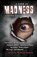 Cover: A Dash of Madness - Xchyler Publishing