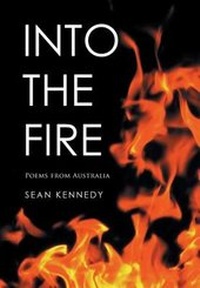 Enlarge image Cover: Into the Fire - Xlibris