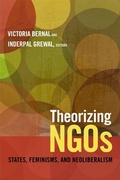 Cover: Theorizing NGOs - Duke University Press