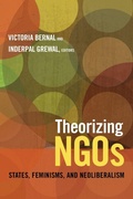 Cover: Theorizing NGOs - Duke University Press