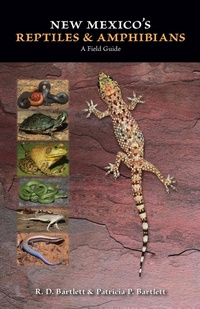 Abbildung von: New Mexico's Reptiles and Amphibians - University of New Mexico Press