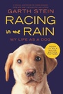 Cover: Racing in the Rain - HarperCollins