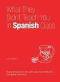 Cover: What They Didn't Teach You in Spanish Class - Ulysses Press
