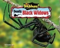 Cover: Deadly Black Widows - Bearport Books