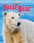 Cover: Polar Bear - Bearport Books