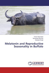 Enlarge image Cover: Melatonin and Reproductive Seasonality in Buffalo - LAP Lambert Academic Publishing