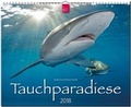 Cover: TAUCHPARADIESE - St&uuml;rtz