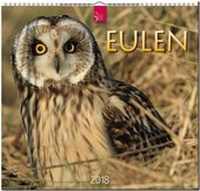 Enlarge image Cover: EULEN - Stürtz