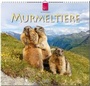 Cover: MURMELTIERE - Stürtz