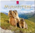 Cover: MURMELTIERE - St&uuml;rtz