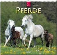 Abbildung von: PFERDE - Stürtz