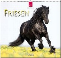 Abbildung von: FRIESEN - Stürtz