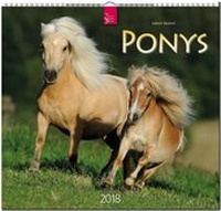 Abbildung von: PONYS - Stürtz